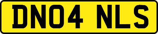DN04NLS