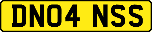 DN04NSS
