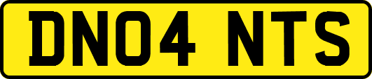 DN04NTS