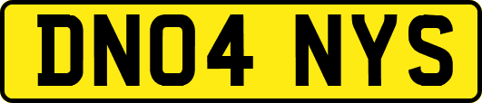 DN04NYS