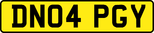 DN04PGY