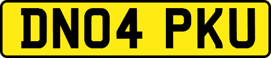 DN04PKU