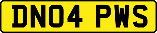 DN04PWS