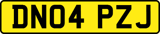 DN04PZJ