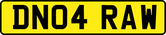 DN04RAW