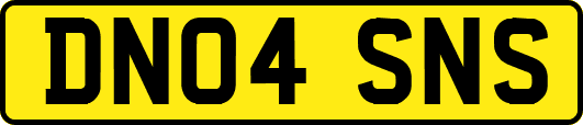 DN04SNS