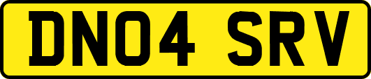 DN04SRV