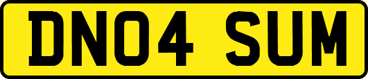 DN04SUM