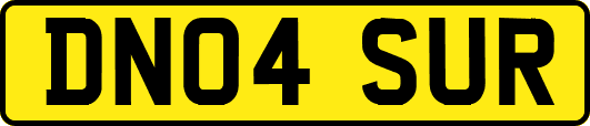 DN04SUR