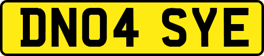 DN04SYE