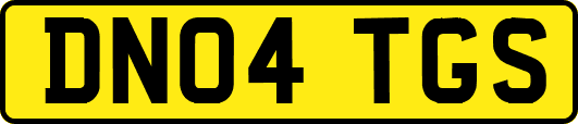 DN04TGS