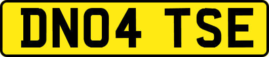 DN04TSE
