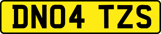 DN04TZS