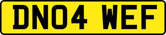 DN04WEF