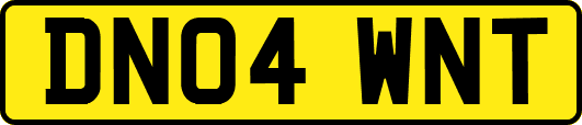 DN04WNT