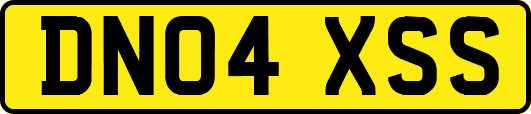 DN04XSS