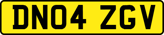 DN04ZGV