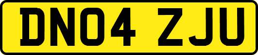 DN04ZJU