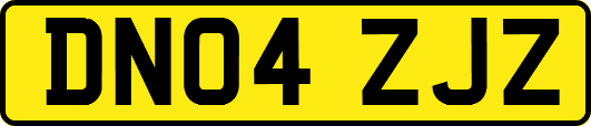 DN04ZJZ