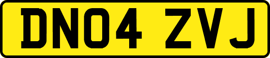 DN04ZVJ