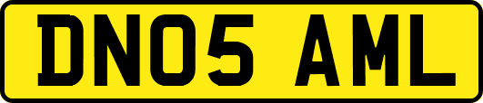 DN05AML