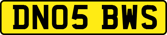 DN05BWS