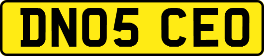 DN05CEO
