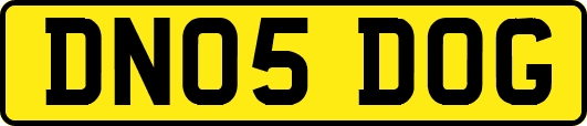 DN05DOG