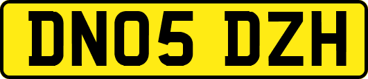 DN05DZH