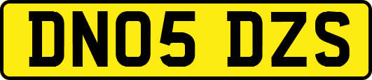 DN05DZS