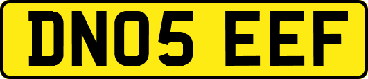 DN05EEF