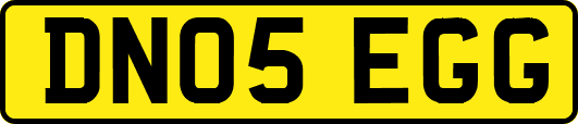 DN05EGG