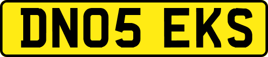 DN05EKS