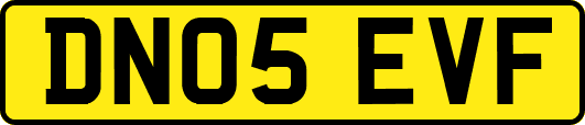 DN05EVF