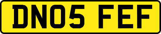 DN05FEF