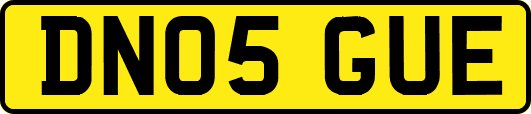 DN05GUE