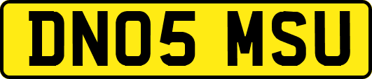 DN05MSU