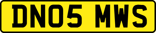 DN05MWS
