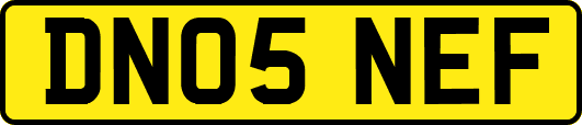 DN05NEF