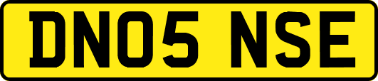 DN05NSE