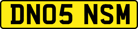 DN05NSM