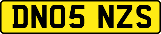 DN05NZS