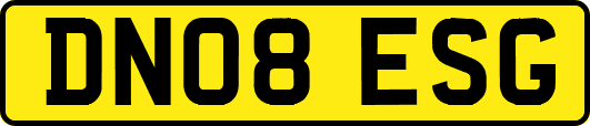 DN08ESG