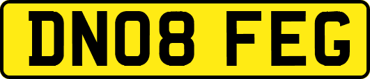 DN08FEG