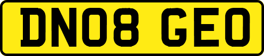 DN08GEO