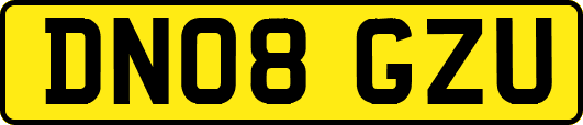 DN08GZU