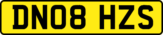 DN08HZS