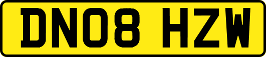 DN08HZW