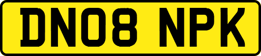 DN08NPK
