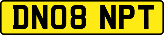 DN08NPT